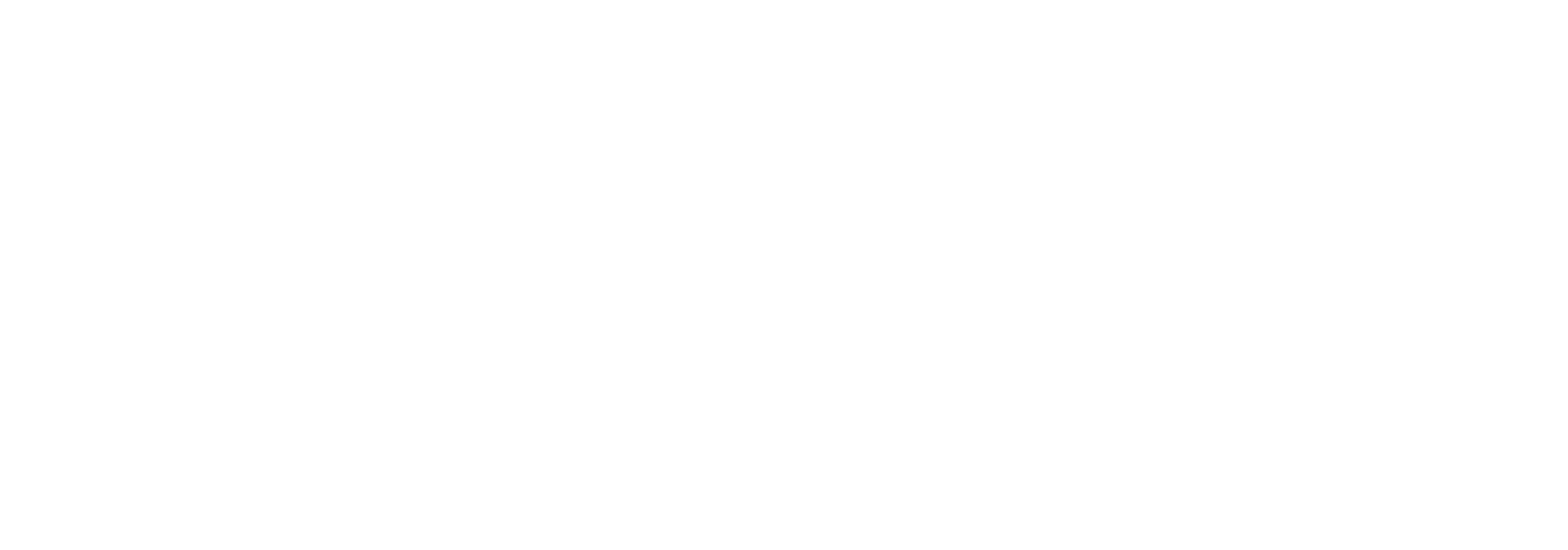 BL STRATEGIES